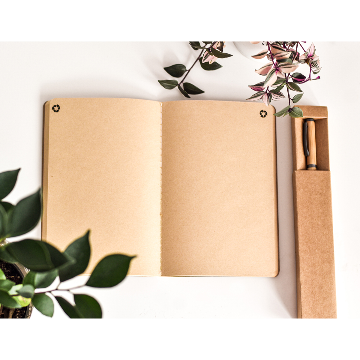 R02316.13 - Bambusowy długopis w pudełku Machino, beżowy